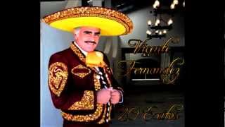 VICENTE FERNANDEZ EXITOS MIX [upl. by Cort335]