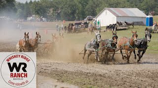 Whiskey Ridge Chuckwagon Race 2024 Teaser [upl. by Lindo]