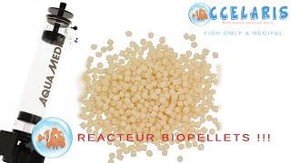 REACTEUR BIOPELLETS [upl. by Nagorb331]