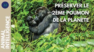 Avec les Pygmées pour sauver la forêt tropicale du Congo I IA [upl. by Nyar]