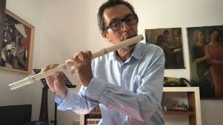 tutorial n 8 for learning baroque flute [upl. by Anitsej]