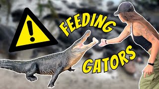 I Fed ALLIGATORS at a Party in Florida AnimalConUSA [upl. by Dusa67]