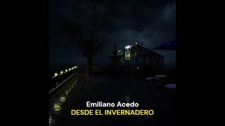 Emiliano Acedo  Desde el invernadero [upl. by Rise]