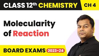 Molecularity of Reaction  Chemical Kinetics  Class 12 Chemistry Chapter 4 202223 [upl. by Habeh]