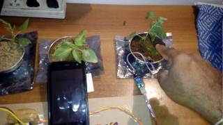 Automatic Irrigation system using Dual Sensors with Microcontroller AT89S52 [upl. by Sheaff]