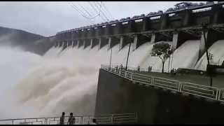 Mahi Dam Banswara 16 Gates opened [upl. by Ennovihs70]