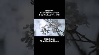 楕円ボケとオレンジ色のストリーク！Iron Glass CineModded Lens shorts フジヤカメラ [upl. by Thurston]