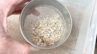 Making organic fertiliser from mealworm poo very easy [upl. by Silverts767]