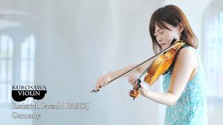 Roderich Paesold PA802J ローデリヒ・ペゾルト PA802J バイオリン紹介・演奏【Violinist：漆原直美】 [upl. by Dolloff]