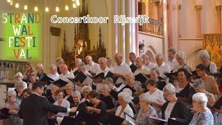 Strandwalfestival 2016 Concertkoor Rijswijk Bonifatiuskerk [upl. by Acinyt]