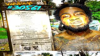 Vandam Bodyslam  Jungle Ft Breezy Bree [upl. by Laup]