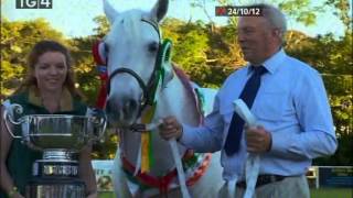 The 2012 Clifden Connemara Pony Show Part Two [upl. by Hsur192]