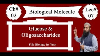 Biology Ch02Lecture07 Glucose and Oligosaccharides FSc 1st Year [upl. by Lunette767]