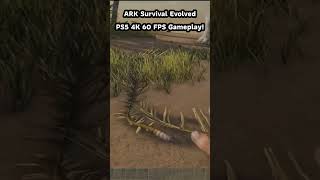 ARK Survival Evolved PS5 4K 60 FPS Gameplay [upl. by Melloney339]