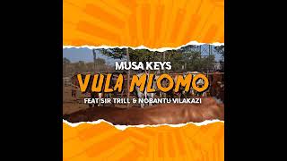 Musa Keys  Vula Mlomo Feat Sir Trill amp Nobantu Vilakazi Official Audio [upl. by Aynatahs]