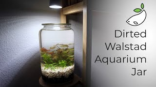 How To  Dirted Walstad Aquarium Jar [upl. by Eillah]