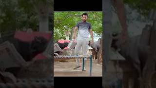 BN SHARMA Best Comedy scenes  Best Punjabi Scene  Punjabi Comedy Clip [upl. by Nikos]