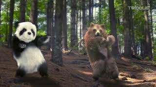 Animal Song Jungle Dance  With Panda Dog Cats and a Bear 2024  By Twiddlie [upl. by Yniar]