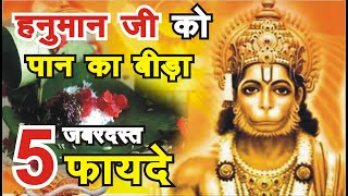 हनुमानजी को पान का बीड़ा अर्पित करने के 5 फायदे Hanuman ji ko paan ka bira kyuo arpit kiya jata hai [upl. by Glinys]