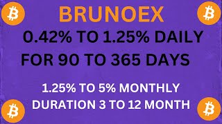 BRUNOEX MAKE 5 MONTHLY FROM HOME WITH BRUNOEX [upl. by Haldes]