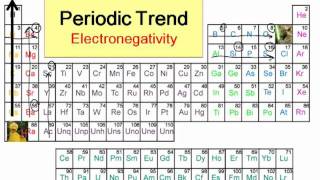 Periodic Trends in Electronegativity [upl. by Yerocaj]