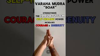 Varaha Mudra  quotBoarquot  Hand Gesture [upl. by Grunenwald447]