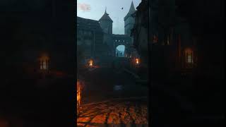 The Witcher 3 Velen City Crowd GamingAmbience ambience GamingAmbience witcher atmosphere [upl. by Nuahsak]