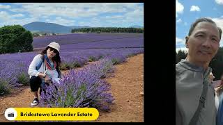 20231217 Cataract Gorge amp Bridestowe Lavender Estate [upl. by Drawde]