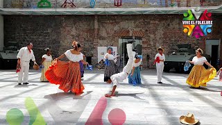 La Iguana Guerrero  Mexican Folk Dance [upl. by Copp]