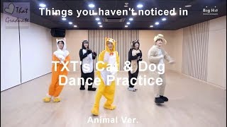 Things you didnt notice in TXTs Cat amp Dog Dance Practice Animal Ver [upl. by Shirline]