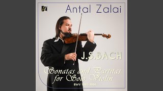 Violin Sonata No 2 in A Minor BWV 1003 IV Allegro [upl. by Nahtam]