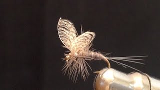 How To Create Wally Wings Mayfly [upl. by Askwith433]