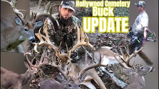 Hollywood Cemetery Buck UPDATE [upl. by Cahan980]