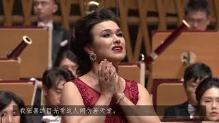 Leonoras aria and cabaletta Tacea la notte placida Il trovatore Verdi — Olga Peretyatko [upl. by Esmerelda]