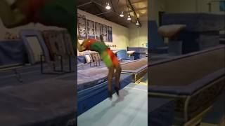 Inshow speed leaning double backflip backflip speed viralvideo gymnasticflips [upl. by Brownley]