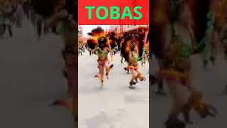 tobas short 2 kalamarka Bolivia danzasbolivianas [upl. by Notsrik]