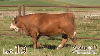 Lot 19 Anchor D Darby 256L [upl. by Haroppiz]