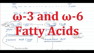 Determination of Acid value of an oil sample  Viva Questions BTech BSc MSc [upl. by Ajim]