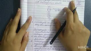 general characteristics anabaena explanation and notes  bsc 1st year by anchal Tiwari [upl. by Akiehs260]