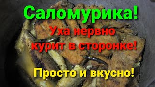 Саломурика из рыбы Блюда рыбаков и охотников Яркий вкус рыбы Блюдо из рыбы заменяющее уху В пост [upl. by Lienahs325]