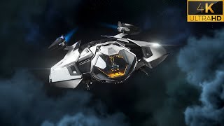 Star Citizen RSI Mantis Tour [upl. by Idihsar373]