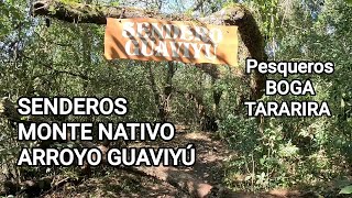 SENDEROS DEL ARROYO GUAVIYÚ PUNTOS DE PESCA DE TARARIRAS Y BOGAS [upl. by Vedette796]