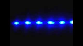 A flashing Blue LED CatampDog Collar [upl. by Dyl]