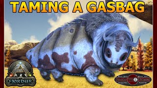 Taming A Gasbag  Ark Survival Evolved Fjordur  Episode 23 [upl. by Aimet847]