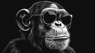 Dark Minimal Techno  Intro The Monkey Radio Stream [upl. by Jandy121]