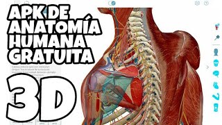 Atlas de Anatomía Humana en 3D Gratis [upl. by Sivatco19]