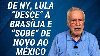 Recebem bolsa família e gastam em apostas [upl. by Saunders]