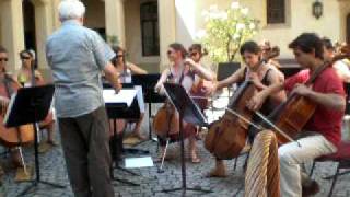 The Pirates of the Caribbean with the 15 cellos of EUYO 2009 [upl. by Augustus]