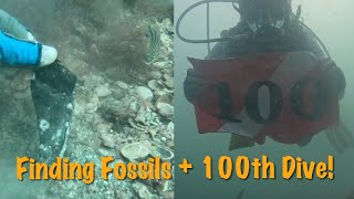 Fossil Collecting AUG 02 2023 Diving the Venice Fossil Beds [upl. by Enneiluj894]