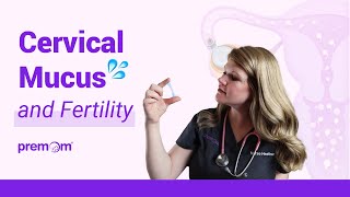 Cervical Mucus Ovulation and Peak Fertility To Get Pregnant  How to Identify Your Discharge [upl. by Aisemaj260]